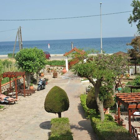 Miramare Hotel Petra  Exterior photo